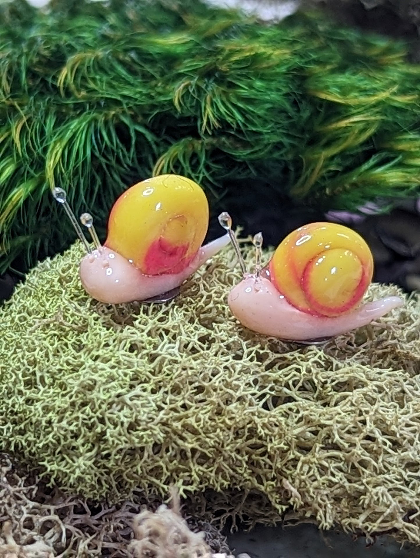 Clay snail stud earrings