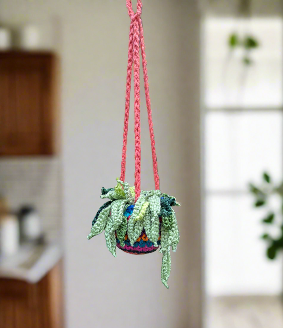 Crochet multicolor hanging plant
