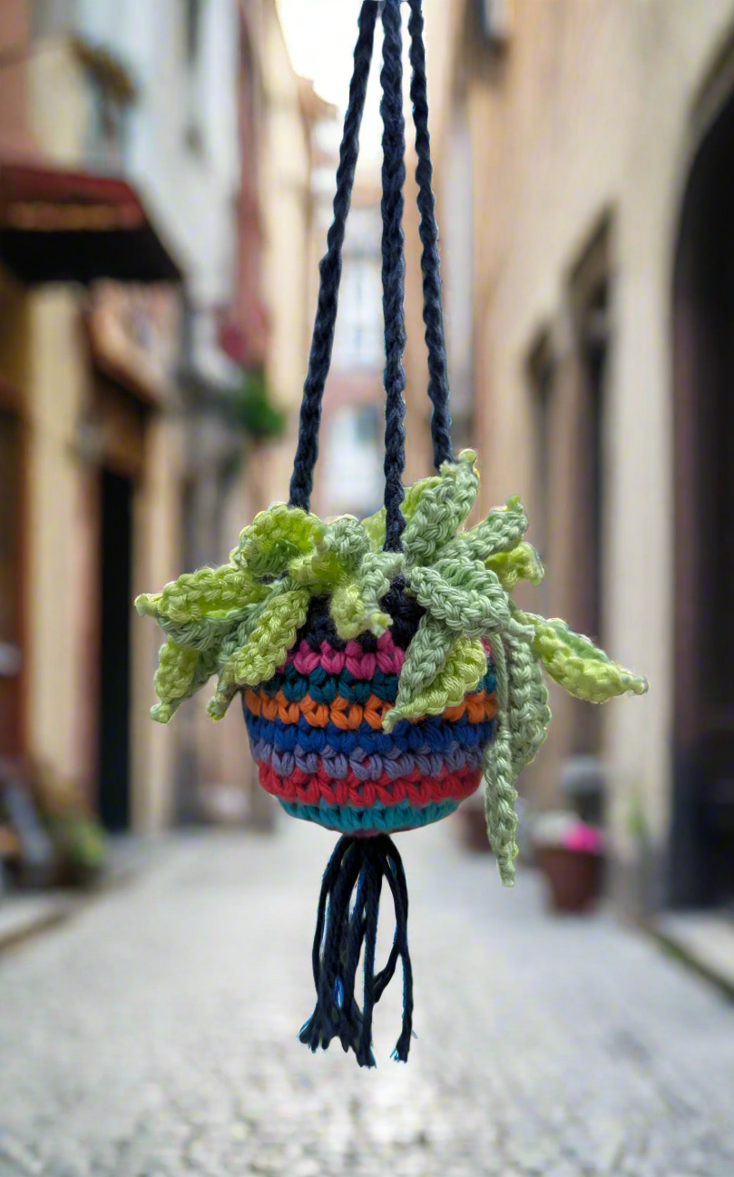 Crochet multicolor hanging plant with tassel